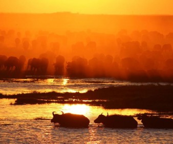 Tanzania natural tours and Safari
